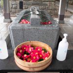 ツバキ 酒列神社　240324 (1 - 1)